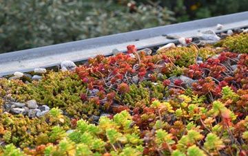 the cost of Blunsdon St Andrew green roof installation