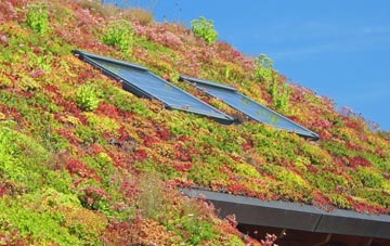 Blunsdon St Andrew living roof systems