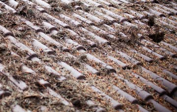 Blunsdon St Andrew roof cleaning companies