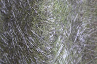 Blunsdon St Andrew fibreglass roof work